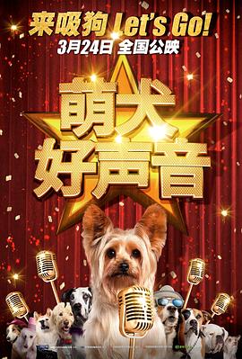 啪动态