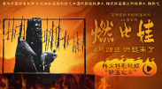 是的av在线